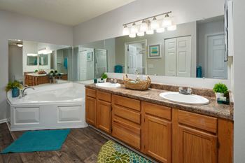 Luxury Style Bathrooms