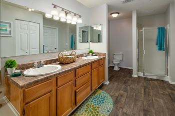 Luxury Style Bathrooms