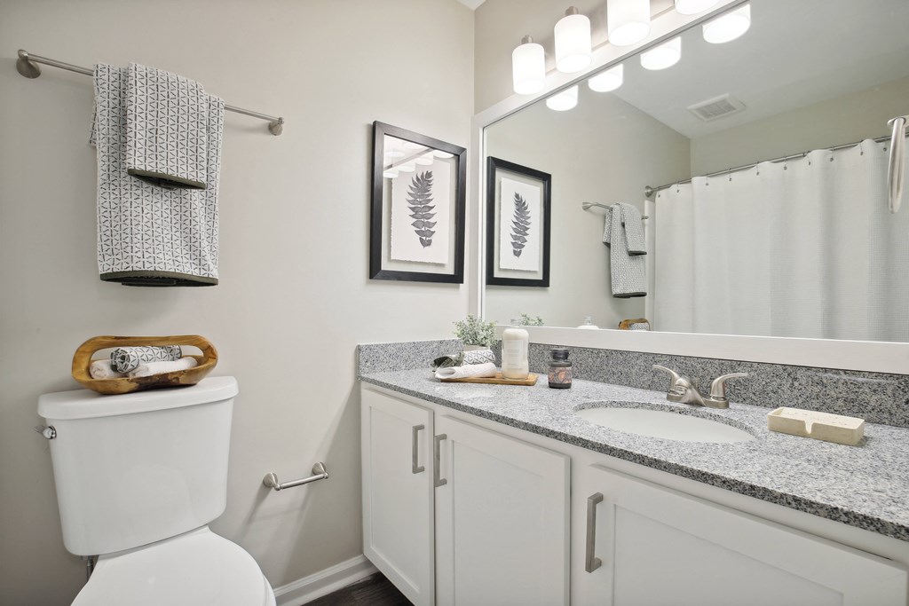 a bathroom with a toilet and a sink and a mirror