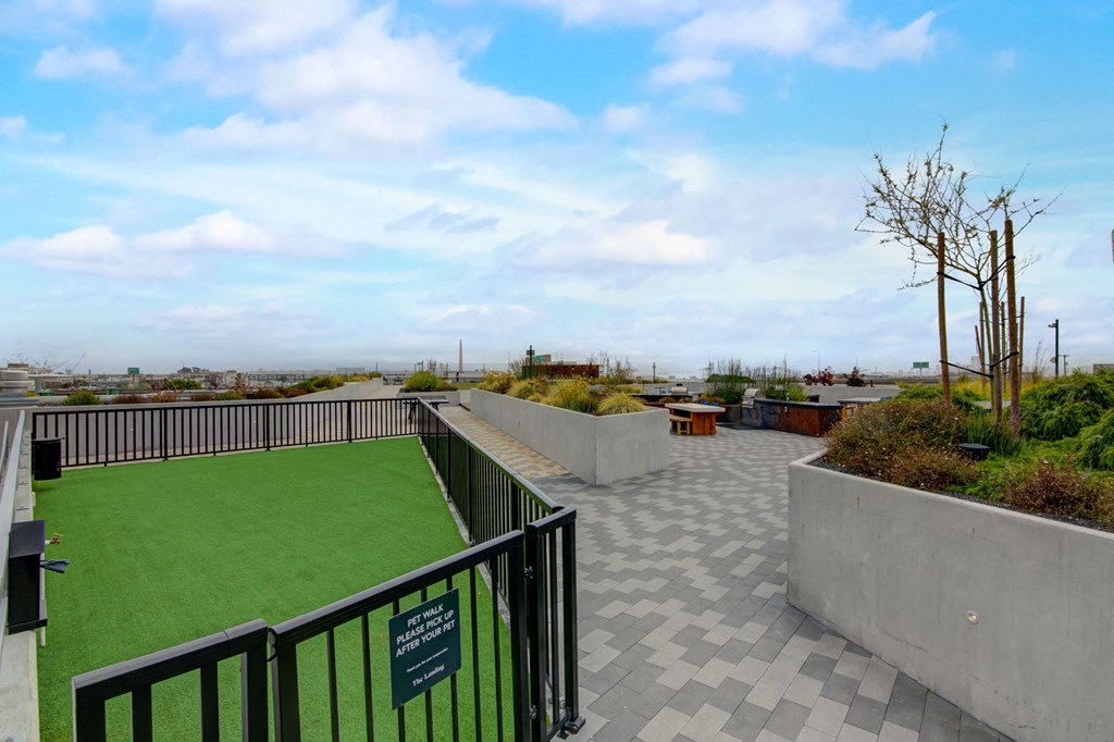 the roof terrace with artificial turf and a view of the city