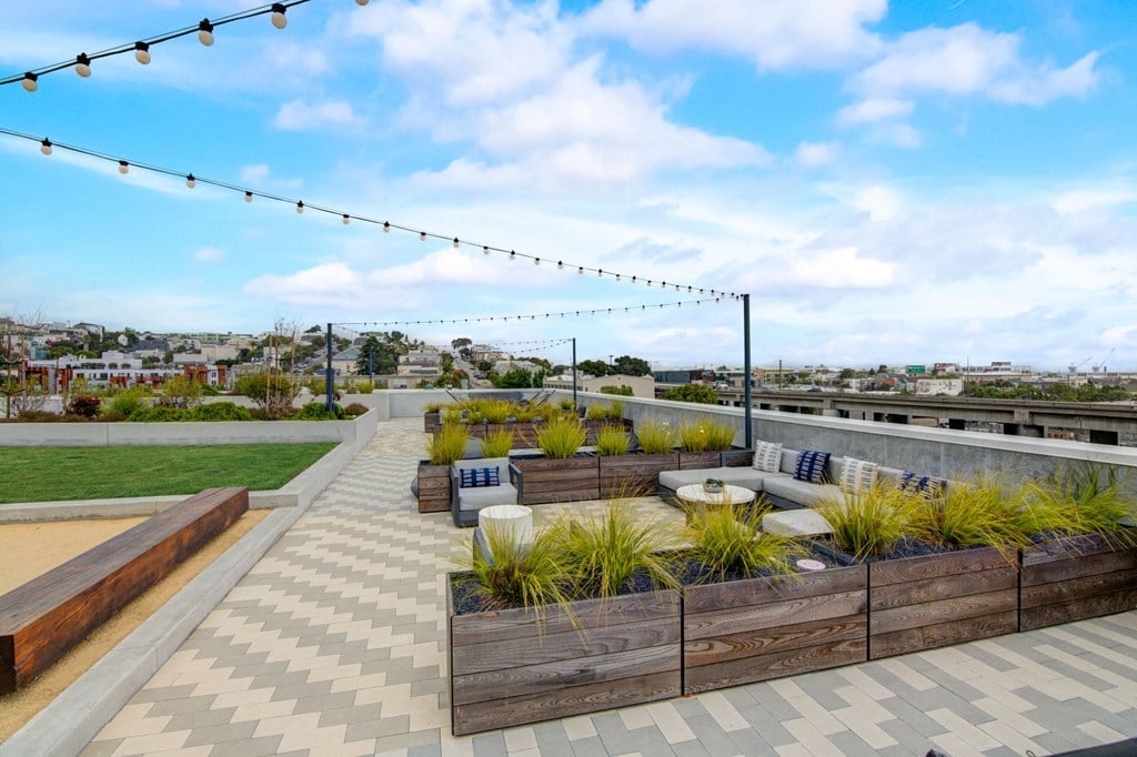 a roof terrace with couches and plants and a view of the city