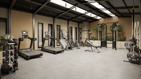 A gym with a variety of equipment including treadmills, weights, and exercise machines.