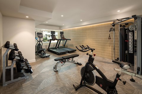 A home gym with a variety of equipment including a rowing machine, treadmill, and weights.