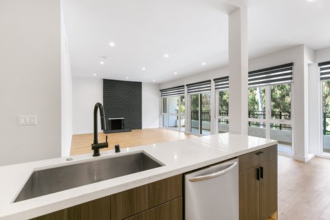 A modern kitchen with a sink and a dishwasher.