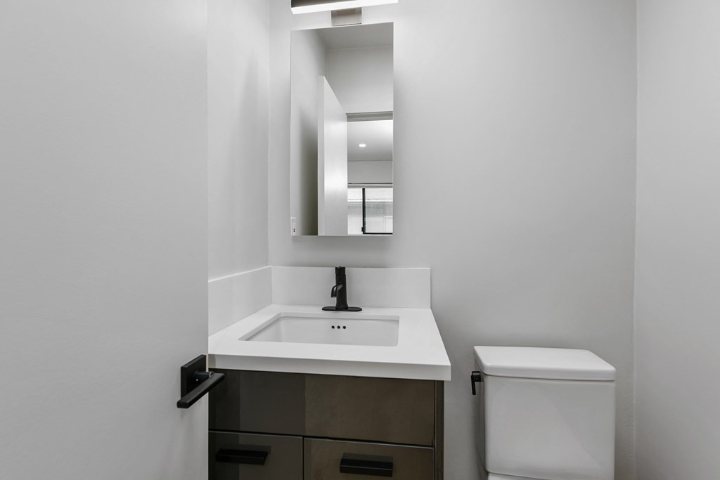 a bathroom with a sink and a mirror and a toilet