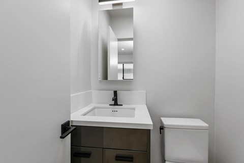 a bathroom with a sink and a mirror and a toilet