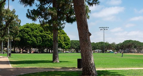 Kenneth Hahn State Recreation Area