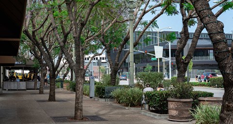 Downtown Culver City