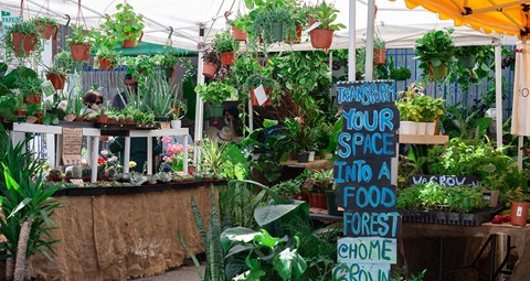Culver City Farmers Market every Tuesday and Mar Vista Farmers Market every Sunday