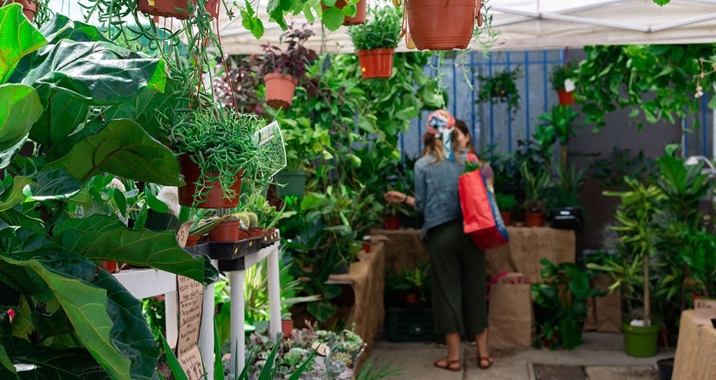 Culver City Farmers Market every Tuesday and Mar Vista Farmers Market every Sunday