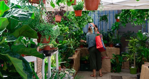 Culver City Farmers Market every Tuesday and Mar Vista Farmers Market every Sunday