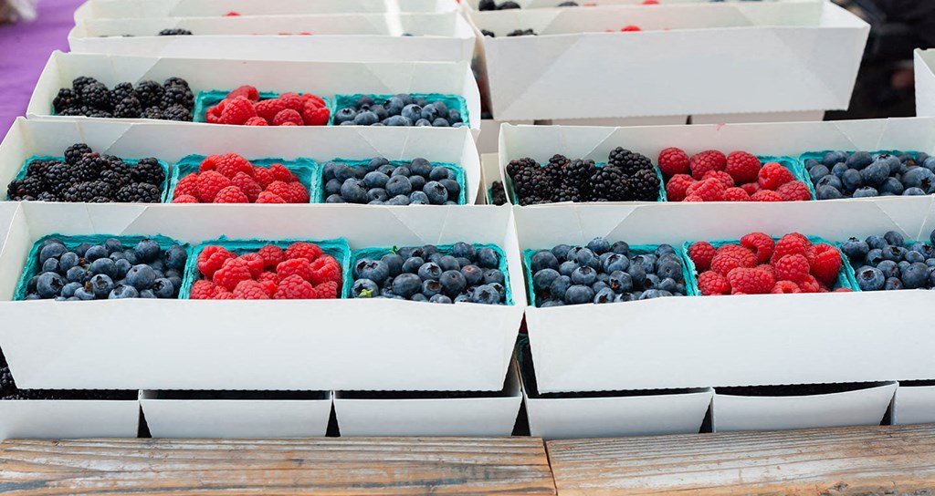 Culver City Farmers Market every Tuesday and Mar Vista Farmers Market every Sunday