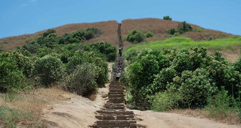 Culver City Stairs at the Baldwin Hills Overlook