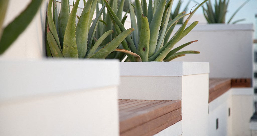 Rooftop deck with lounge areas and spectacular views