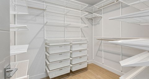 Large built-in closets