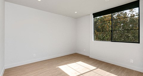 Lots of natural light