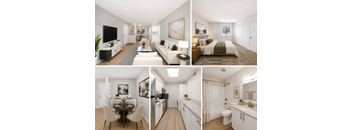 A series of images showcasing a modern, well-lit, and spacious apartment with a living room, dining area, kitchen, and bedroom.