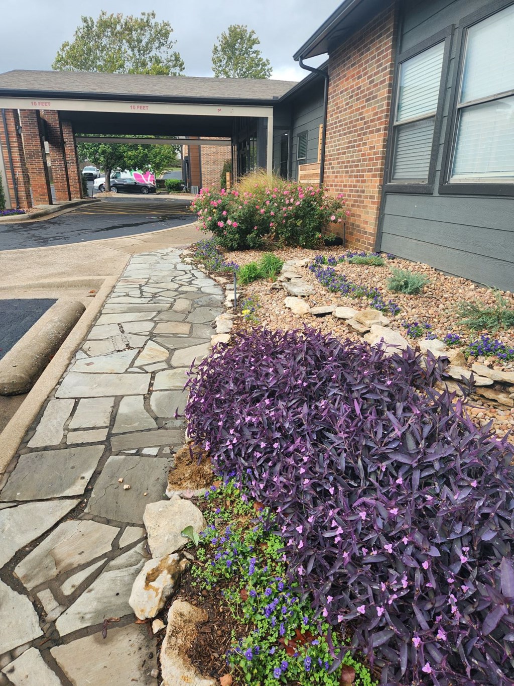 a garden of purple flowers in front of a building at The Lodge Apartments, Oklahoma, 74129