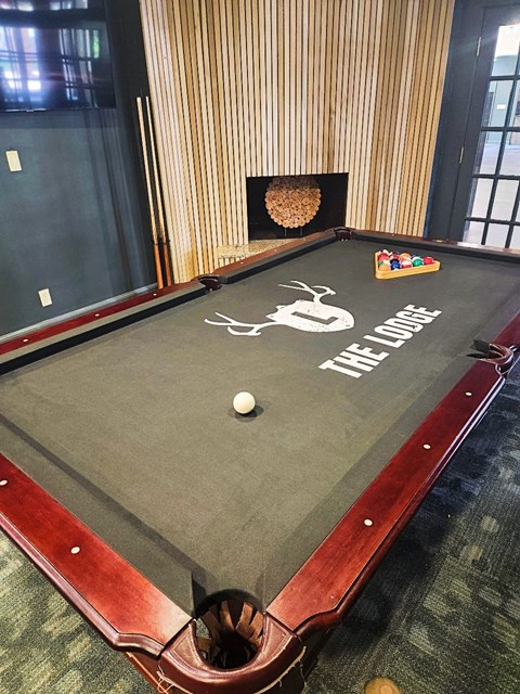 Resident billiard table