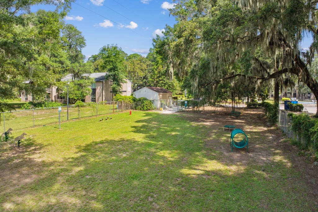 A grassy area with a swing set and trees.