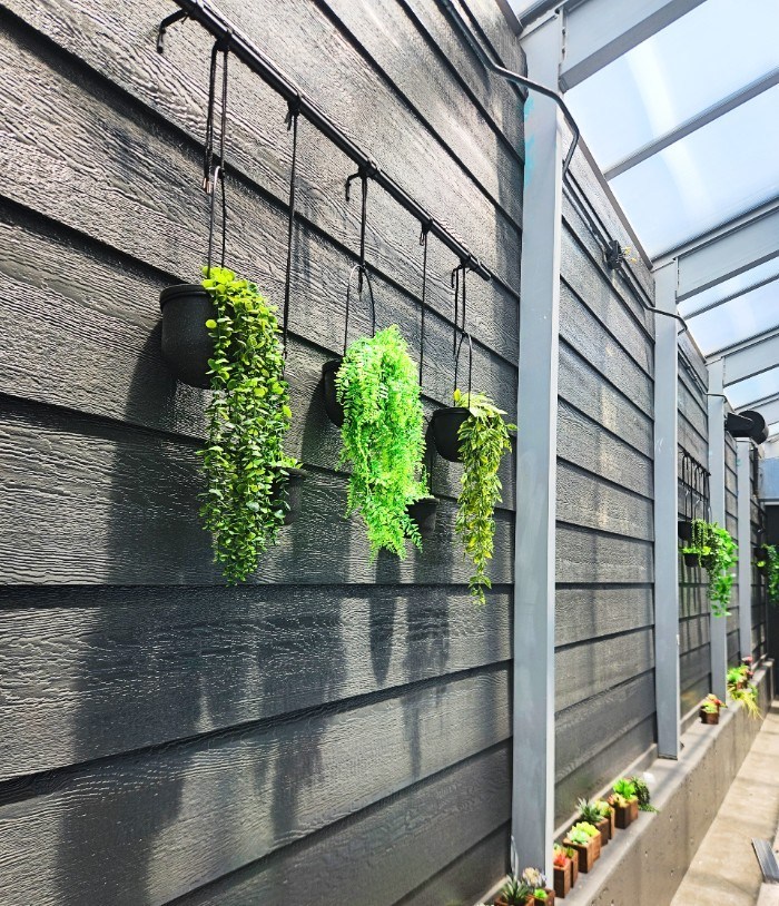 A green plant hangs from a black wall.