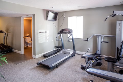 A home gym with a treadmill, weights, and exercise equipment.