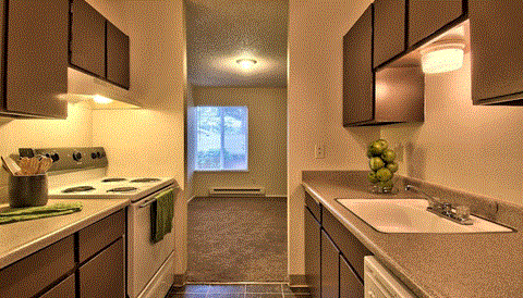 a kitchen with a sink and a stove and a window