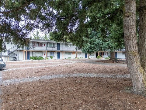 A tree in front of a building with a bench under it.
