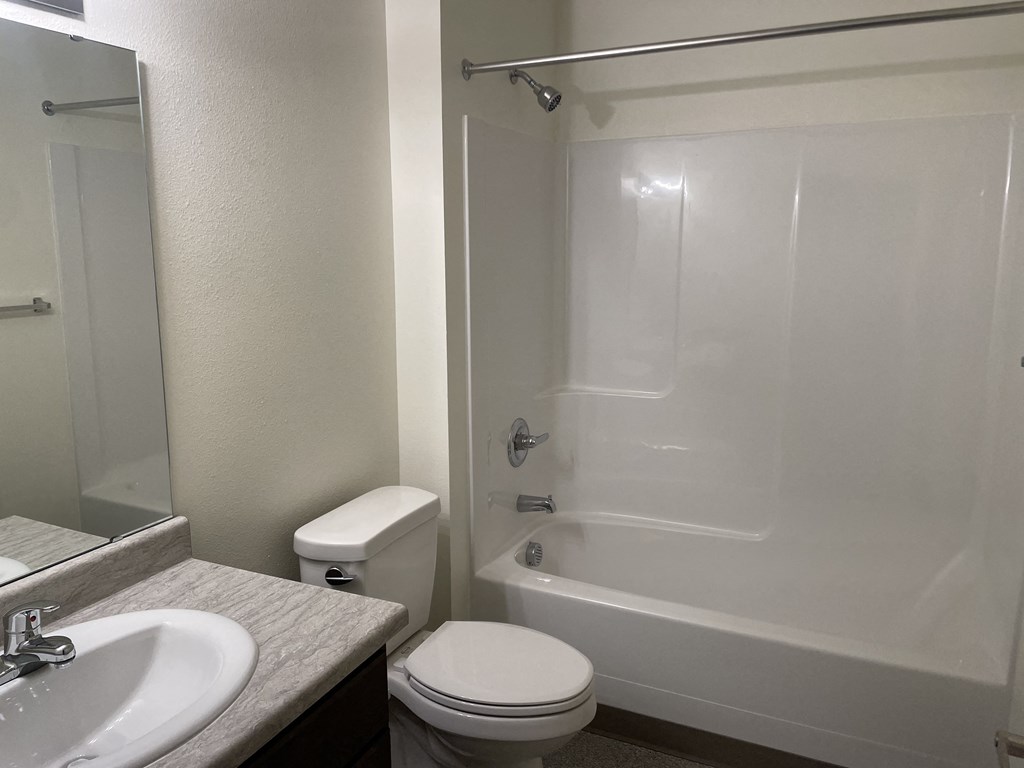 a bathroom with a shower toilet and sink