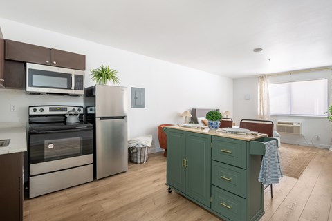 A kitchen with a green cabinet and stainless steel appliances.