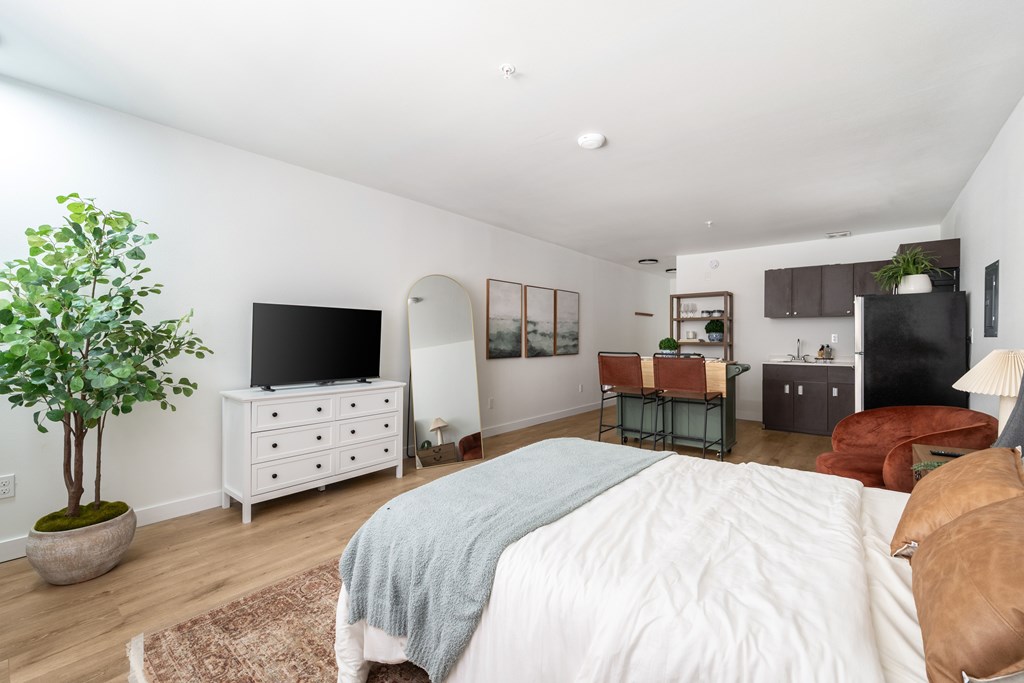 A bedroom with a large bed and a tv.