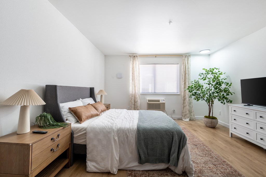 A bedroom with a bed, nightstand, and a plant.