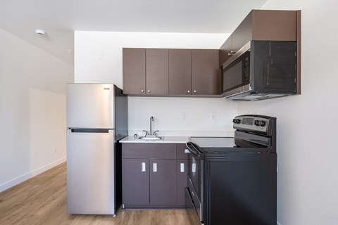 A modern kitchen with a black refrigerator, stove, and microwave.