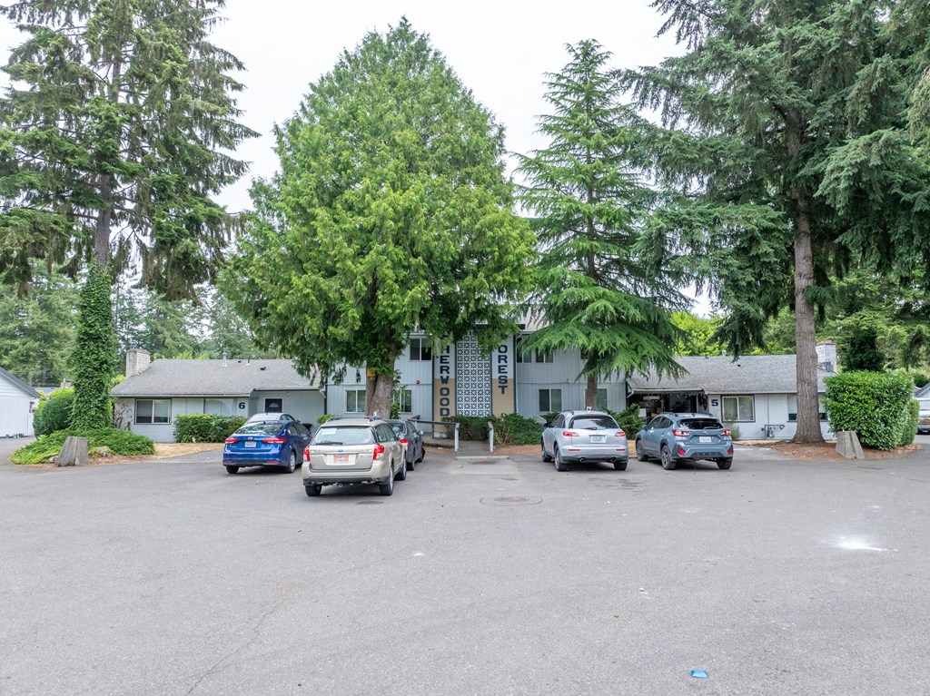 A parking lot with cars and trees in the background.