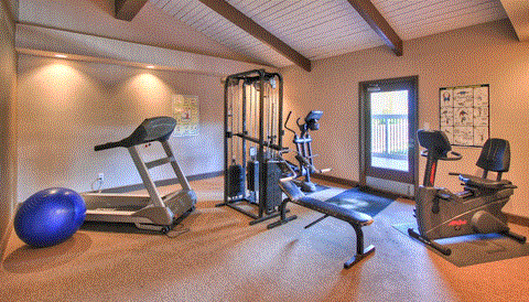 the gym has plenty of exercise equipment for your enjoyment