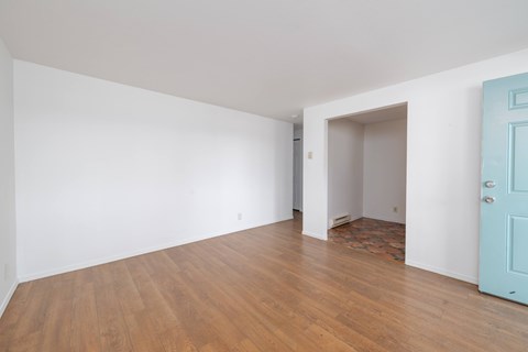 A room with a blue door and wooden flooring.