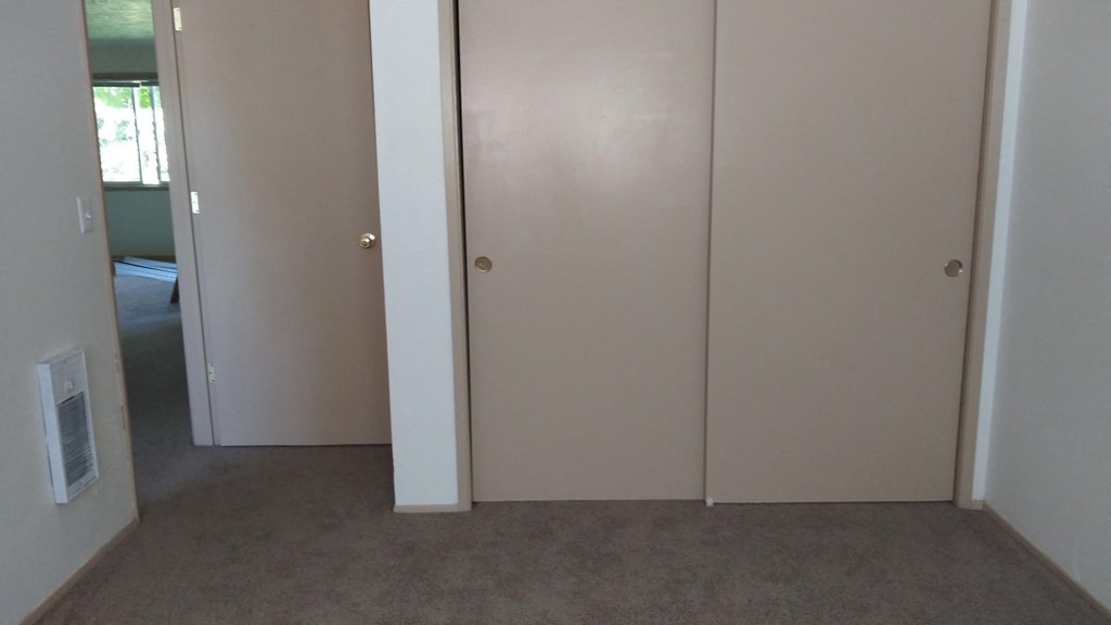a room with two closets and a carpeted floor