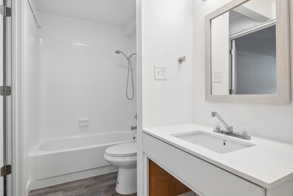 a bathroom with a sink and a toilet and a shower