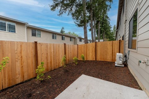 A backyard with a wooden fence and a small tree.