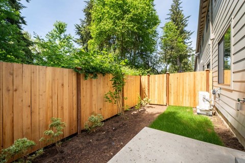 A wooden fence separates a backyard from a house.