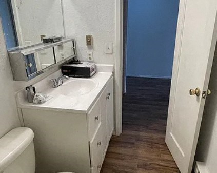 a bathroom with a sink and a toilet