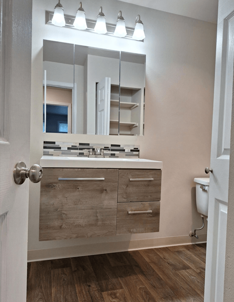 a bathroom with a sink and a mirror and a toilet