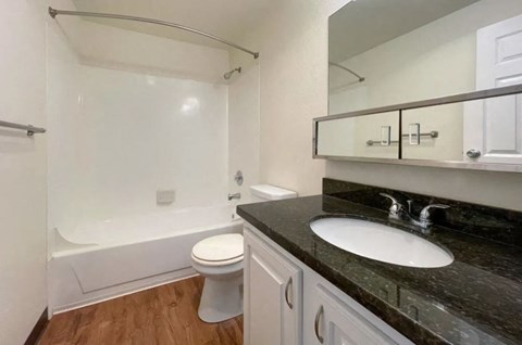a bathroom with a sink and a toilet and a bath tub