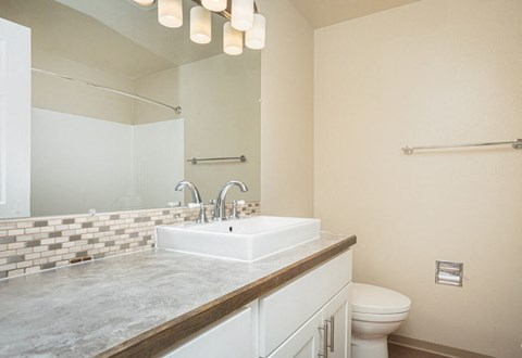 a bathroom with a sink and a toilet and a mirror