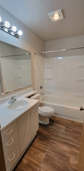 a bathroom with a toilet and a sink and a shower