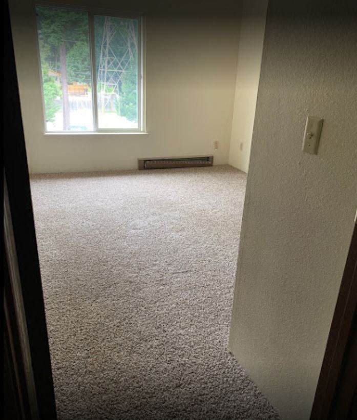 an empty room with white carpet and a window