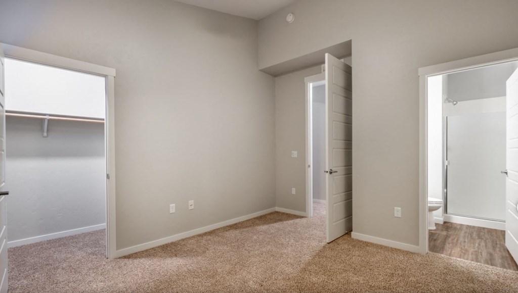 a bedroom with a closet and a door to a bathroom