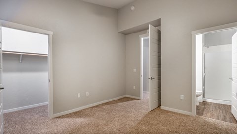 a bedroom with a closet and a door to a bathroom