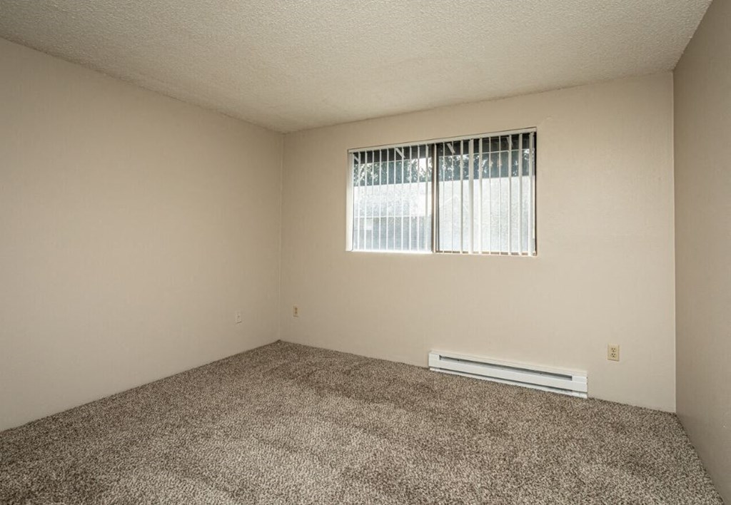 an empty room with carpet and a window