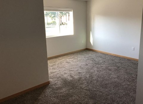 an empty room with carpet and a window